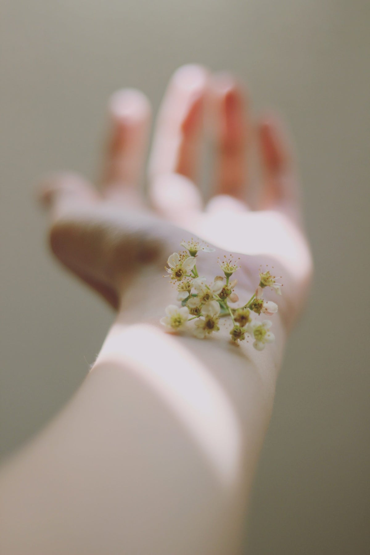 The circadian and light influence on skin