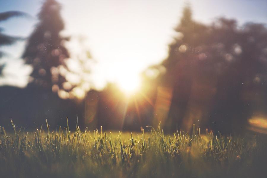 There should be 30 minutes of natural light per day awareness