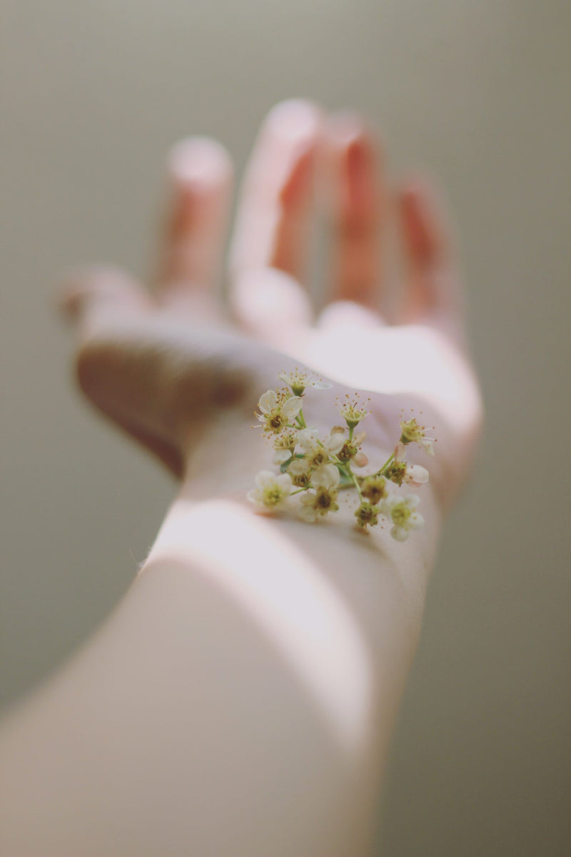 The circadian and light influence on skin