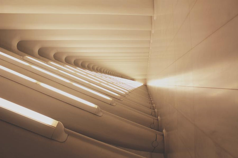 Why is it so hard for the world to catch up to circadian rhythms?